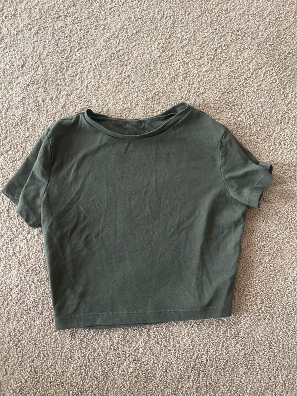 wild fable Dark Olive Crop Tee
